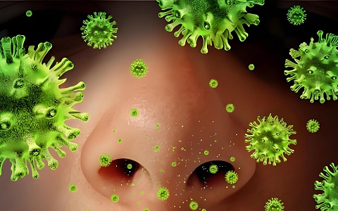 Greitas ir tikslus TB atranka naudojant Babio tuberculosis IgG/IGM greito aptikimo rinkinį