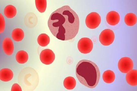 Babio padidina kraujo infekcijos diagnozę su pažengusiu kraujo kultūros buteliu