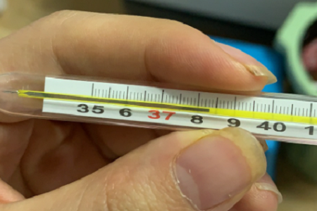 Greitas kombinuotas antigenų testas: COVID-19, Flu A/B ir RSV