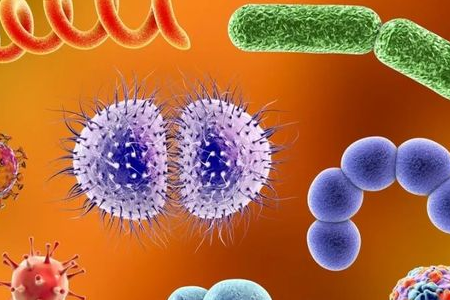 BABIO pristato Salmonella Shigella sodrinimo terpę patikimam enterinių patogenų transportavimui