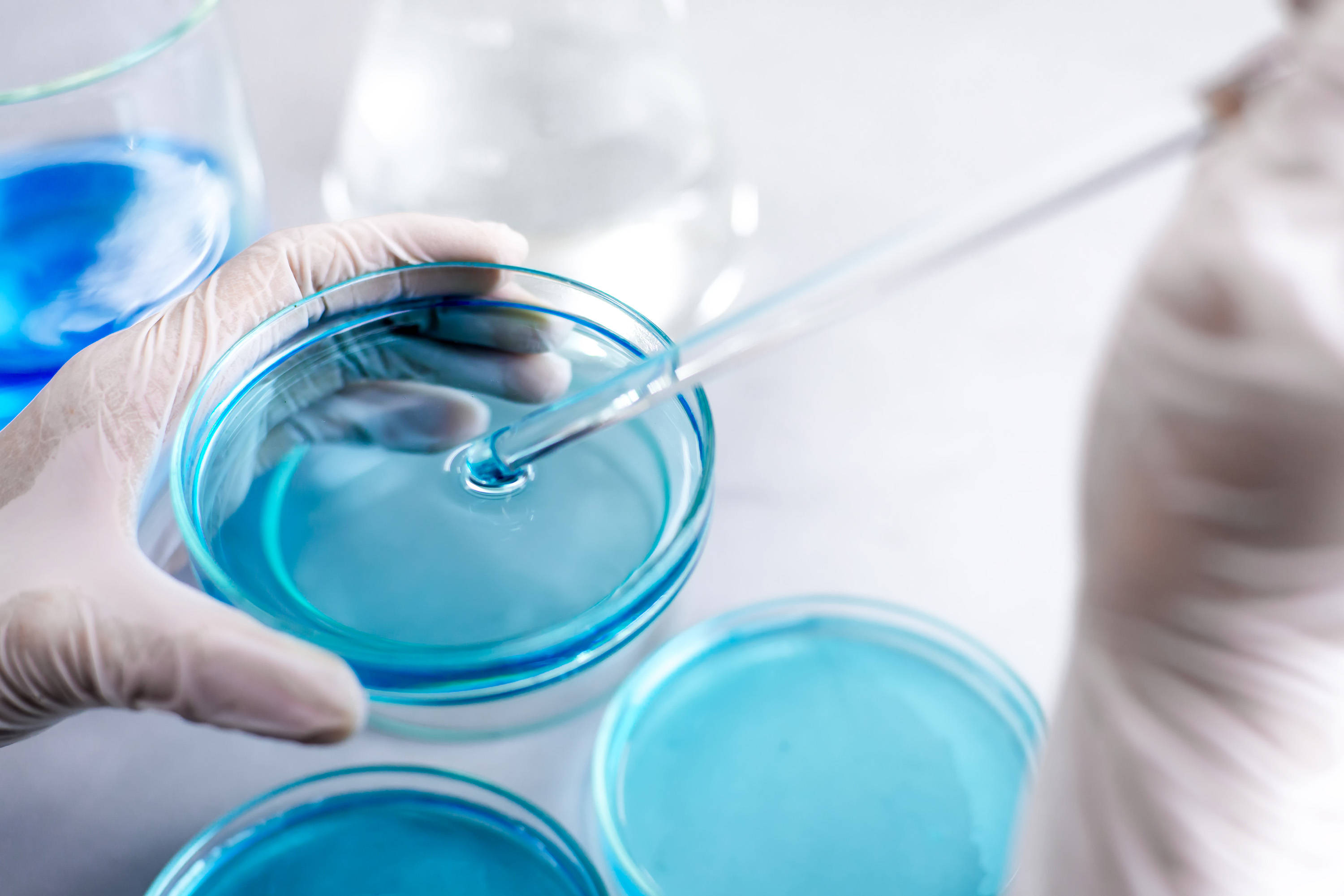 BABIO pristato patikimą SDA terpę grybelių aptikimui