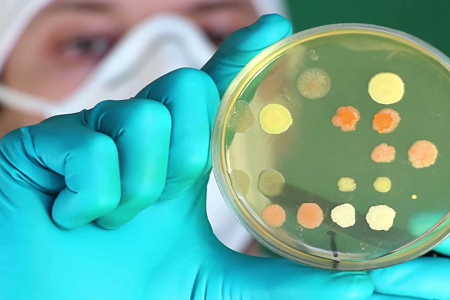 BABIO pristato aukščiausios kokybės triptikazės sojų sultinį (TSB), skirtą pasaulinei klinikinei ir laboratorinei mikrobiologijai