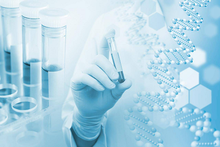 B agaras terpė (kazeino sojų pupelių virškinimo agaras) – patikimas pasirinkimas mikrobų kultūrai