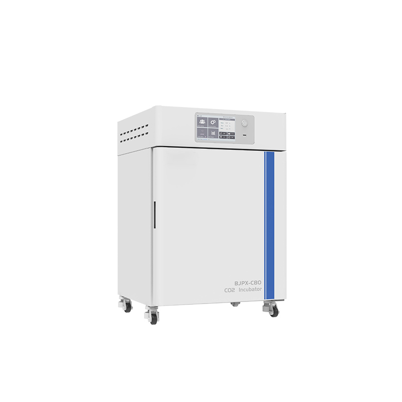 CO2 inkubatorius BJPX-C50 BJPX-C80 BJPX-C160 BJPX-C80S BJPX-C160S